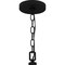 Quoizel Fortress 5-Light Earth Black Pendant FTS2821EK - alternate 4